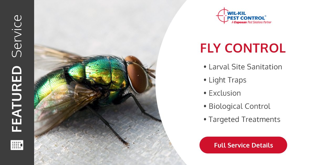 Fly Pest Control Commercial Services Wil Kil Pest Control
