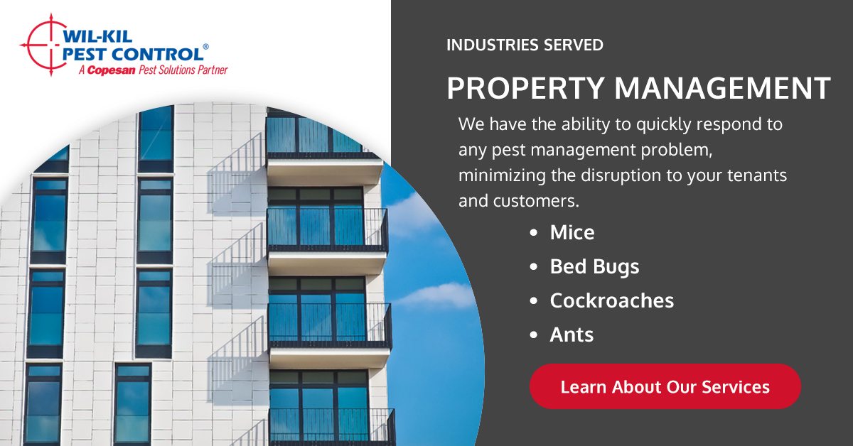 Pest Control for Rental Properties WilKil