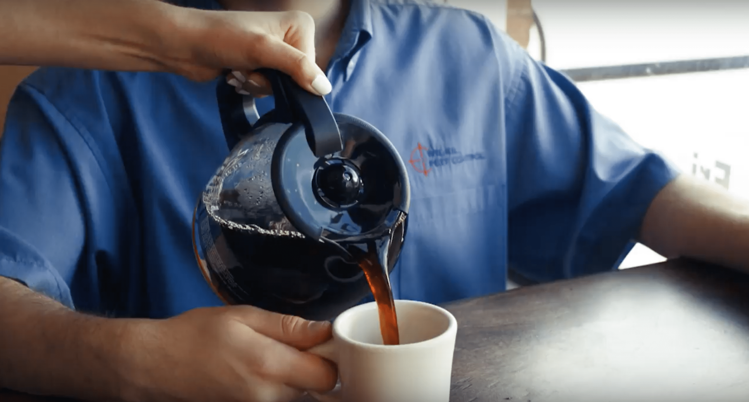 commercial pest control company