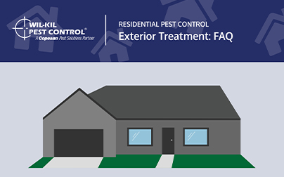 Exterior Pest Control Blog Preview