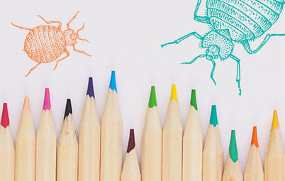 Colored pencils and drawings of bed bugs
