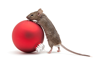 Mouse climbing on top of ornament