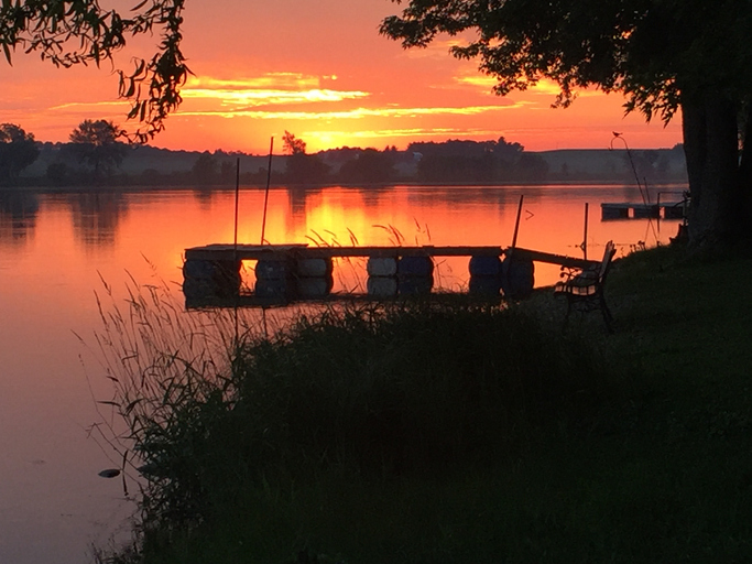 Wooden dock extends over calm lake at sunset, surrounded by tall grasses and trees, with an orange and pink sky.
