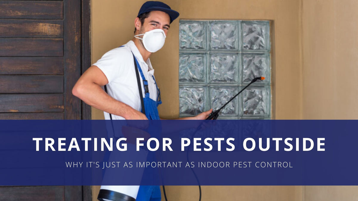 Pest control application to home’s exterior.