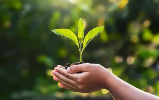 Hands holding a plant on Earth Day