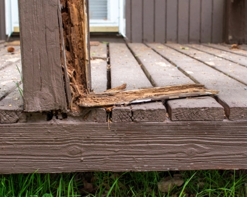 Broken wooden plank on the outdoor deck of a residential home in the Wisconsin area, one home of WIl-Kil Pest Control.