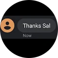 Saul M. Avatar